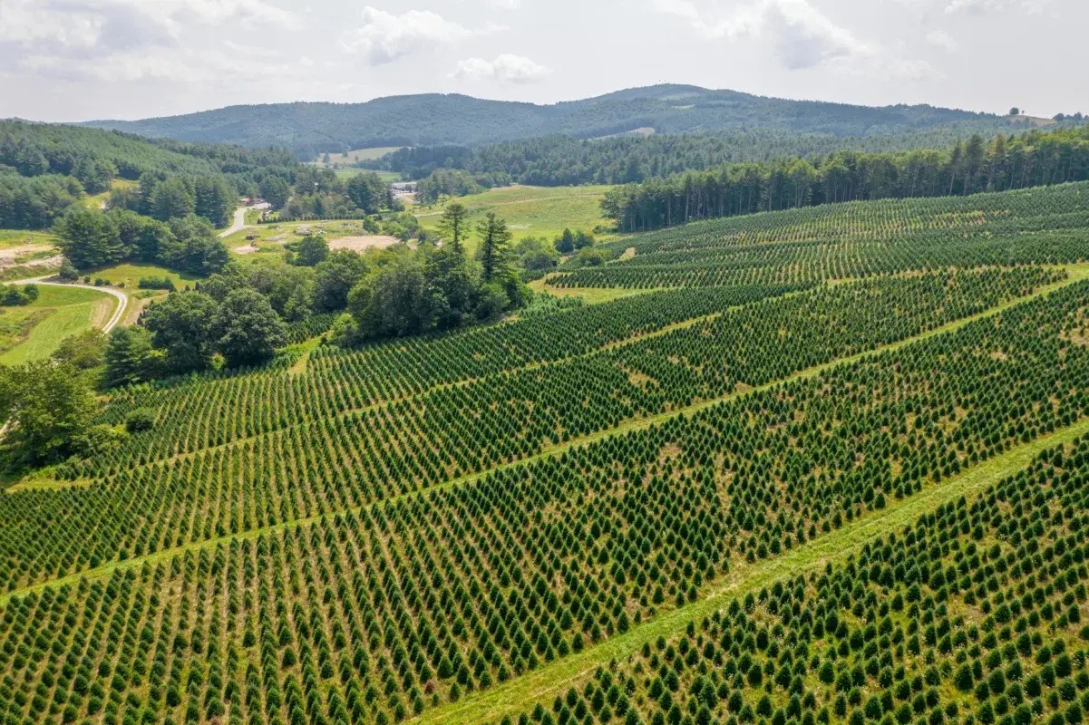 Integrated Pest Management (IPM)