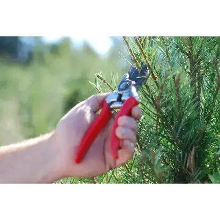 Grower Supplies > Pruners & Loppers