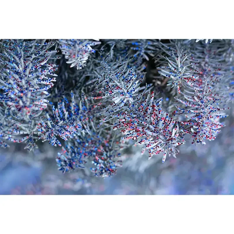 Lot Supplies > Glitter