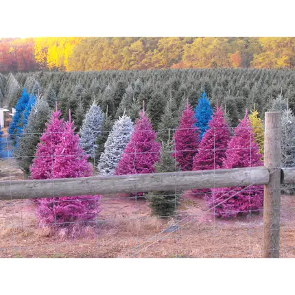 Lot Supplies > Kolors by Kirk